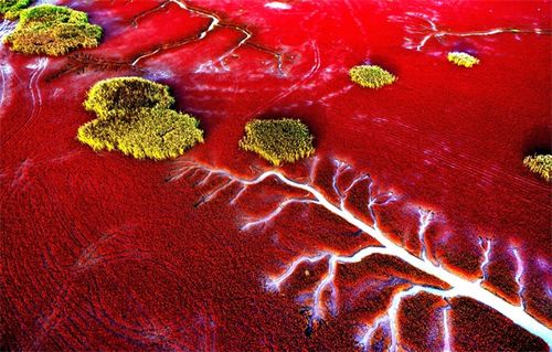 橙黃橘綠 鄉(xiāng)村勝景——全國(guó)鄉(xiāng)村旅游精品線路（上篇） 原生態(tài)徽菜之旅